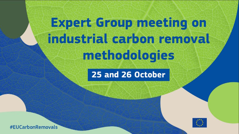 Expert Group meeting on industrial carbon removal methodologies - 25-26 October 2023