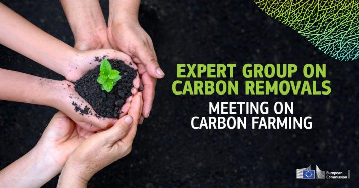Expert Group on Carbon Removals meeting on carbon farming