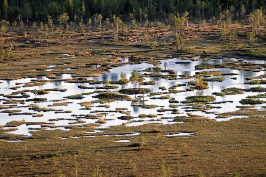 Peatlands in Finland