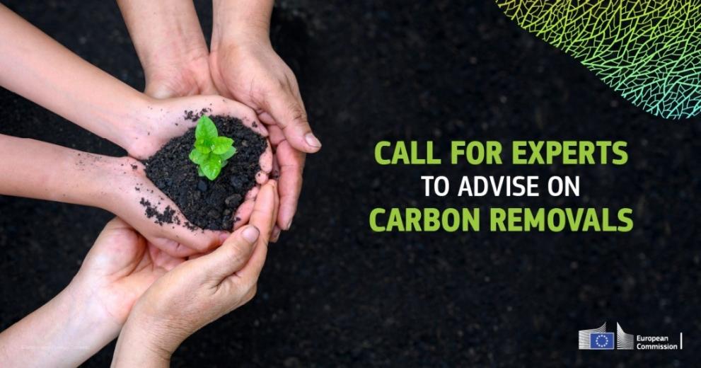 We are looking for experts on carbon removals 