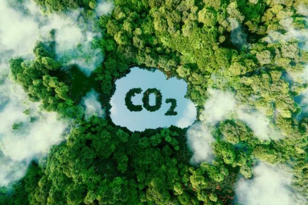 A pond in the shape of a CO2 symbol located in a lush forest